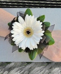 #14 Gerbera Daisy Corsage Fresh Flowers