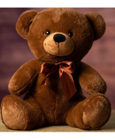 14" Gingerbread Bear Plush