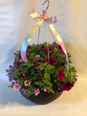 14" Hanger Outside Hanging Basket