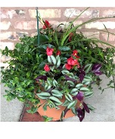 14” planter  Plants