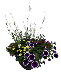 14" Sun Patio Pot Short 