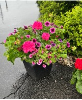 14" Square Patio Planter 