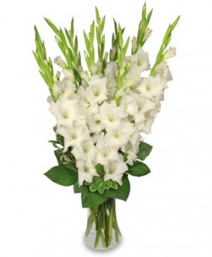 Tranquil Light  White Gladiolus Vase