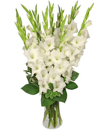 Tranquil Light  White Gladiolus Vase in Ventura, CA | Mom And Pop Flower Shop