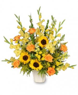 Simply Sublime Arrangement in Springfield, TN - Flowers615