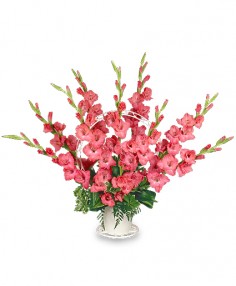 Category Image