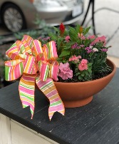 15"  Bright Terra Cotta Planter - Mixed Pinks 