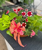15"  Bright Terra Cotta Planter - Mixed Red & Pink 