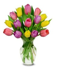15 Mixed Tulips Vase