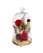 15" Red Preserved Rose Botanical Cloche