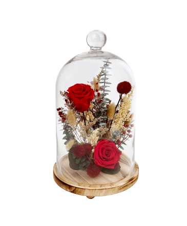 15" Red Preserved Rose Botanical Cloche in Bangor, ME | Bangor Floral