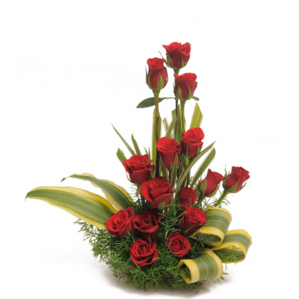 15 Red Roses  and Aspidistra Rose