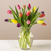 15 Stem Spring Breeze Multicolored Tulip Bouquet W 