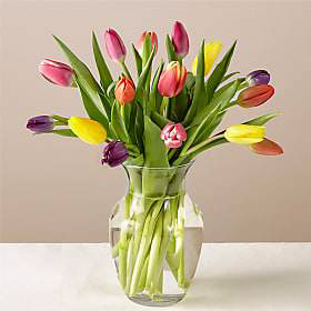 15 Stem Spring Breeze Multicolored Tulip Bouquet W 