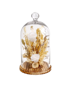 15' White Preserved Rose Botanical Cloche