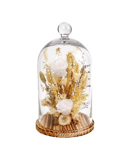 15' White Preserved Rose Botanical Cloche