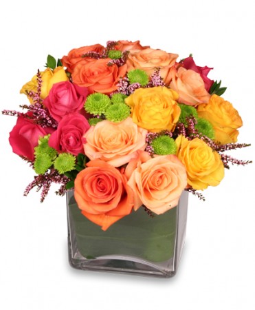 Energetic Roses Arrangement
