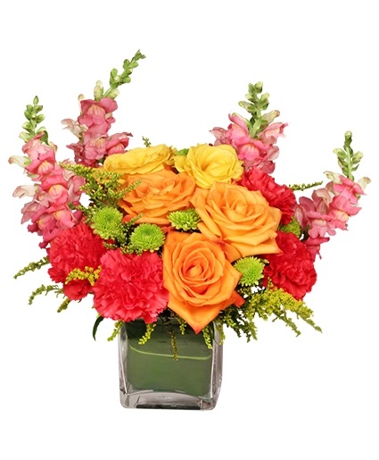 DYNAMIC COLORS Bouquet in Naugatuck, CT - TERRI'S FLOWER SHOP