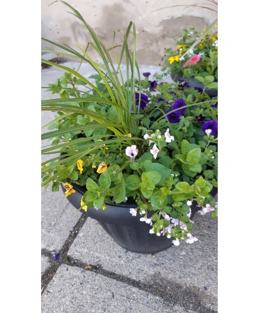   16 "Outdoor Patio Planter  Outdoor mixed planter in Cambridge, ON | KELLY GREENS FLOWERS & GIFT SHOP