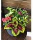 ARRIVING MAY 2ND 16" Outdoor Patio Pot