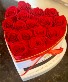 16 Preserved Red Roses 