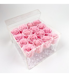 16 Preserved Roses in Acrylic Box with stems  