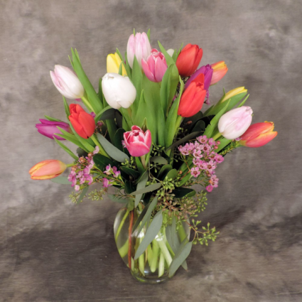 16 Tulips in Vase