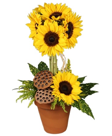 Pot O' Sunflowers Topiary Arrangement in Louisville, OH | DOUGHERTY FLOWERS, INC.