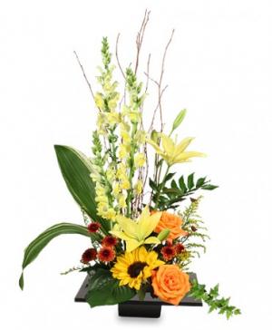 Expressive Blooms Arrangement in Spring, TX | ANGEL'S DIVINE FLOWERS Expressive Blooms Arrangement in Spring, TX | ANGEL'S DIVINE FLOWERS
