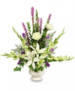 SINCERE SENTIMENTS Arrangement