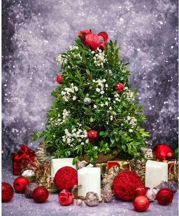 17 Inch Christmas Tree Christmas Tree in Watertown, MA | WATERTOWN FLORIST SHOP