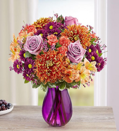174297M PLUM CRAZY FOR FALL