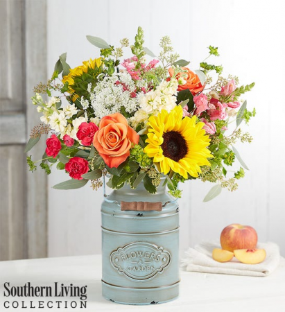179314 Sunshine Splender