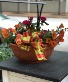 18" Terra Cotta Planter - Mixed Orange annuals 
