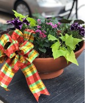 18" Bright Terra Cotta Planter - Mixed Purples 