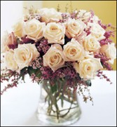 18 Cream Colored Roses by Enchanted Florist of Cape Coral