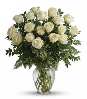 18 Elegant White Roses 