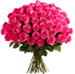 18 Hot Pink Rose Arrangement 