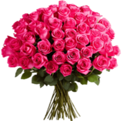 18 Hot Pink Rose Arrangement