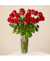 18 Long Stem Red Rose Bouquet ROSES in Mississauga, Ontario | My Rose Florist