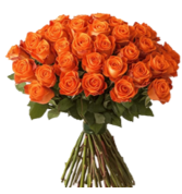 18 Orange Rose Arrangement 