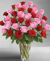 18 Pink Roses and 18 Red Roses  