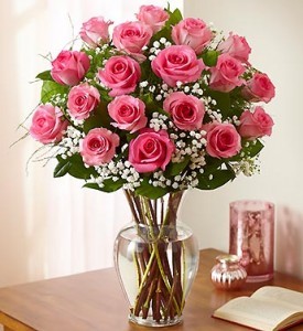 18 Pink Roses  PREMIUM LONG STEM ROSES 