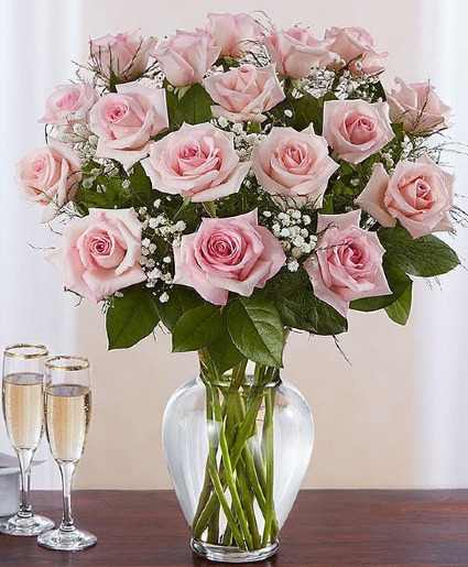 18 Pink Roses Rose Vase