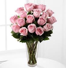 18 - 24 PINK ROSES Vase Arrangement
