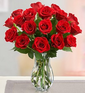 18 Premium Long Stem Valentine's Special!