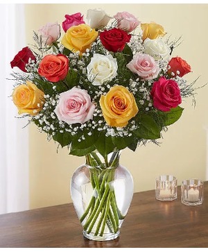 18 Rainbow Rose Vase - 00149 