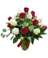 18 Red and White Roses 