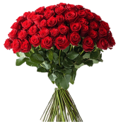 18 Red Rose Arrangement 