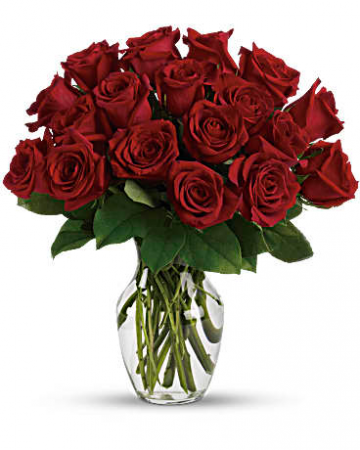 18 Red Roses 